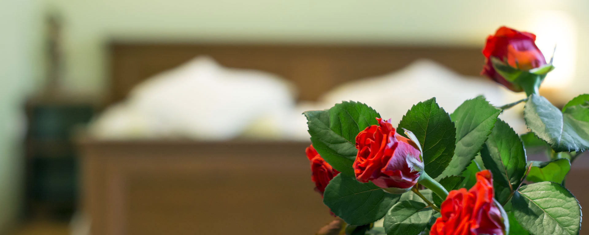 pensionat i Polen indkvartering Krakow