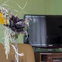 pensionat i Polen indkvartering Krakow